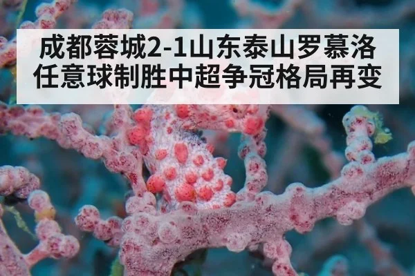 成都蓉城2-1山东泰山罗慕洛任意球制胜中超争冠格局再变
